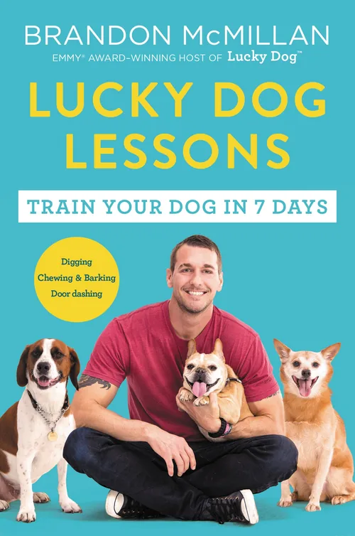 Lucky Dog Lessons by Brandon McMillan — book cover