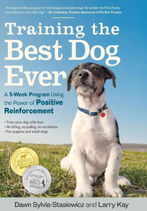 training best dog ever 500w