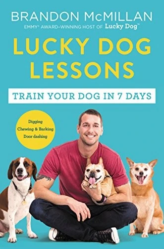 Lucky Dog Lessons by Brandon McMillan — book cover